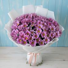 Букет цветов из:  Хризантемы в Красносельское