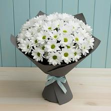 Букет цветов из:  Хризантемы #REPLACE_PRED# Красносельское