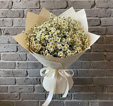 Букет цветов из:  Ромашки в Красносельское