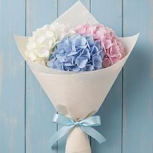 Букет цветов из:  Гортензия в Красносельское