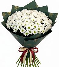 Букет цветов из:  Хризантемы в Красносельское