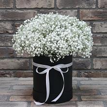 Цветочная композиция из Гипсофила в шляпной коробке в Красносельское