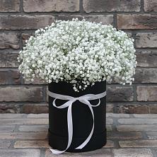 Цветочная композиция из Гипсофила в шляпной коробке в Красносельское