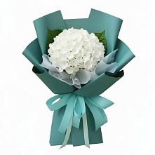 Букет цветов из:  Гортензия в Красносельское